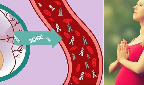 Xét nghiệm ADN huyết thống trước sinh-116